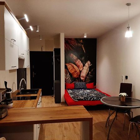 Apartament Pod Szyndzielnia, Debowiec Bielsko-Biała Dış mekan fotoğraf