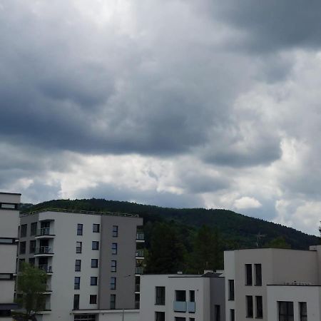 Apartament Pod Szyndzielnia, Debowiec Bielsko-Biała Dış mekan fotoğraf