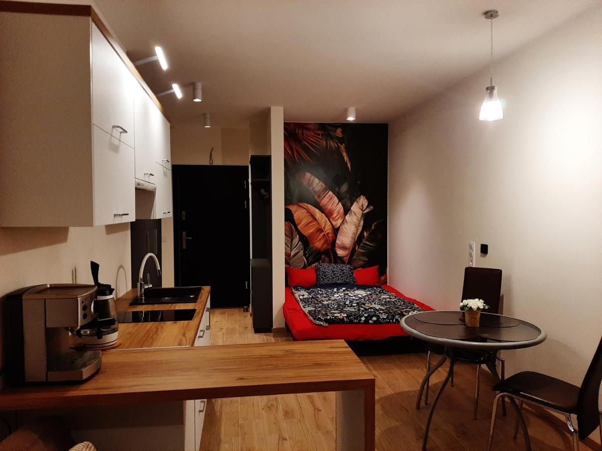 Apartament Pod Szyndzielnia, Debowiec Bielsko-Biała Dış mekan fotoğraf