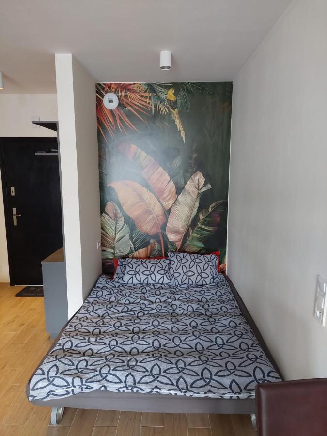 Apartament Pod Szyndzielnia, Debowiec Bielsko-Biała Dış mekan fotoğraf